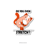 Do you even stretch?